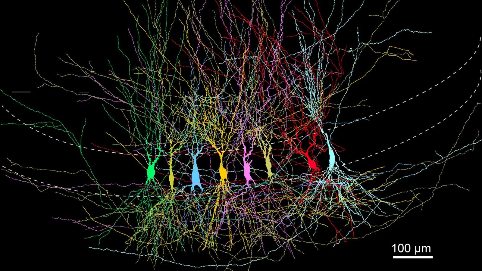 Neuro: Por qué casi no recuerdas la infancia