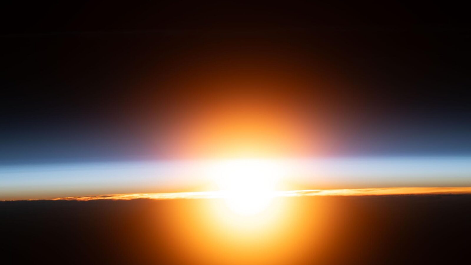 Espacio: Venas y cartílago en la ISS