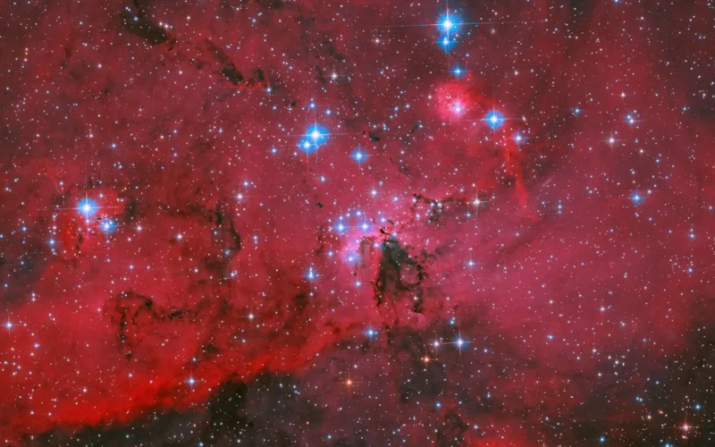 Espacio: Hubble retrata una nube carmesí de estrellas