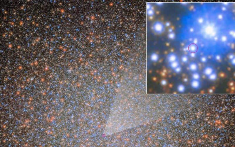 Astronomía: hallan un agujero negro oculto en Omega Centauri