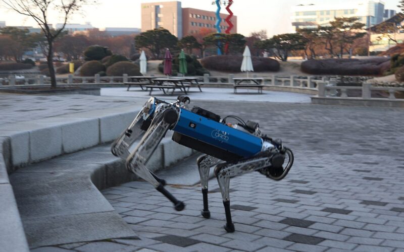 Tecnología: Un robot perro cambia de marcha solo