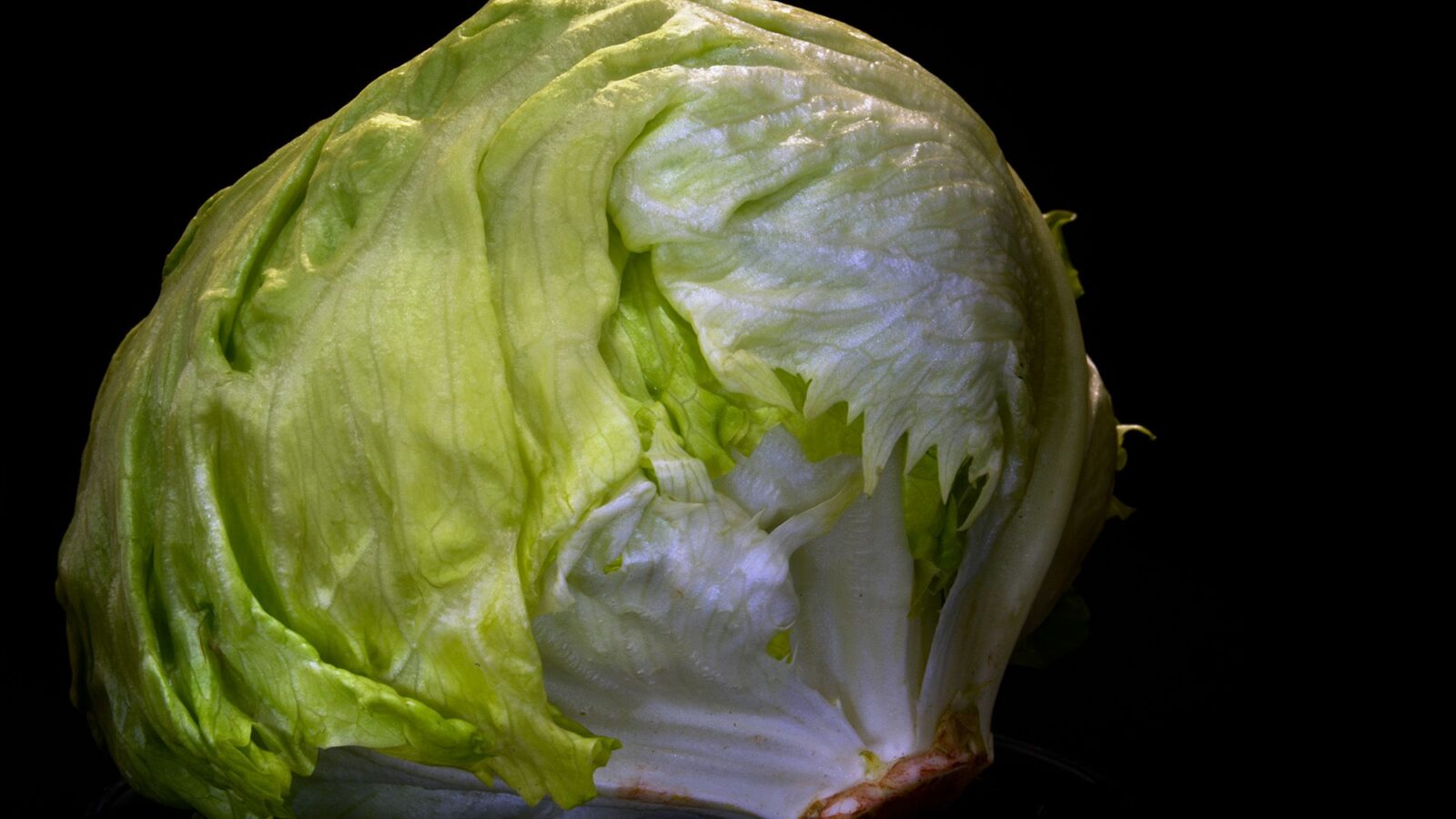 Salud: Brote de Cyclospora ligado a lechuga de Taco Bell