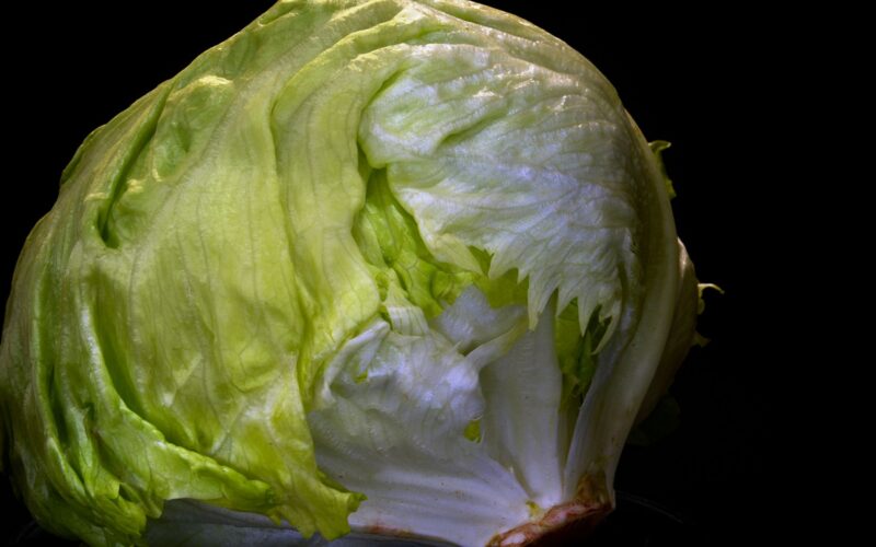 Salud: Brote de Cyclospora ligado a lechuga de Taco Bell