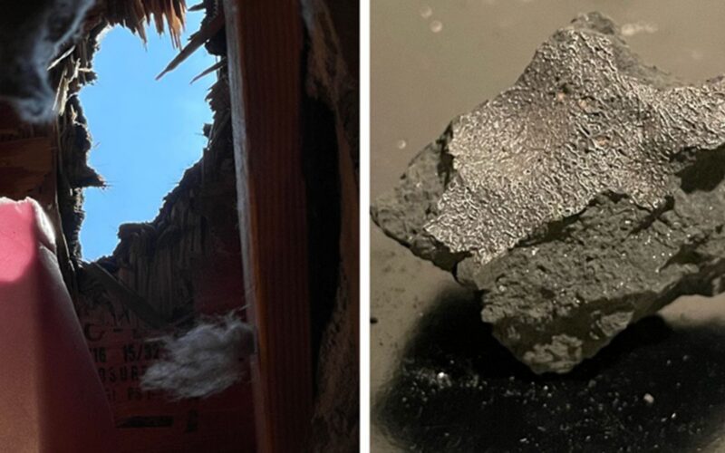 Espacio: El meteorito de Hillsborough tenía “ingredientes de vida”