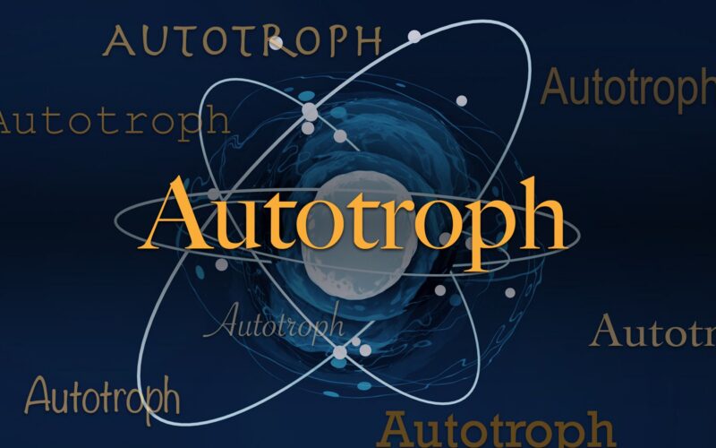 Biología: ¿Qué significa «autótrofo»?