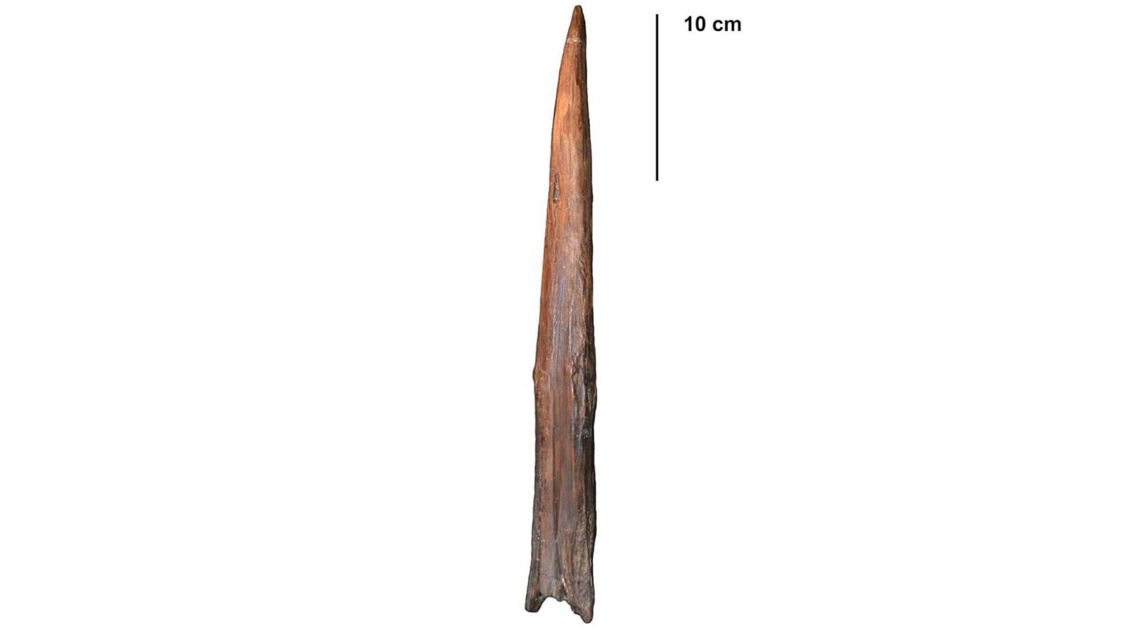 Arqueología: La carrera por el arma más antigua