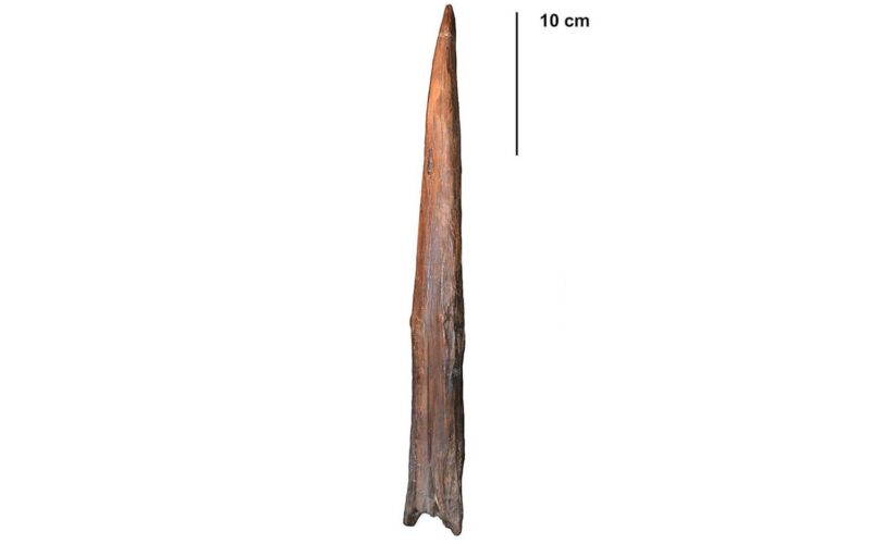 Arqueología: La carrera por el arma más antigua
