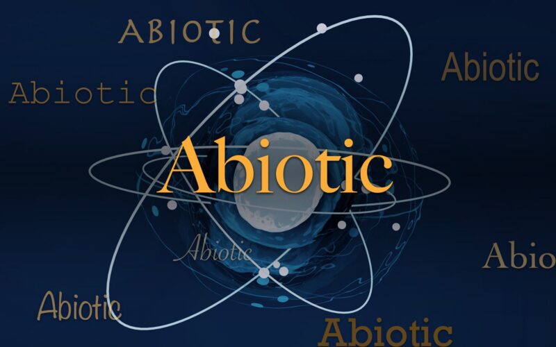 Ecología: Qué significa «abiótico»