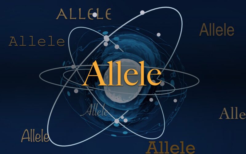 Genética: ¿Qué es un alelo?