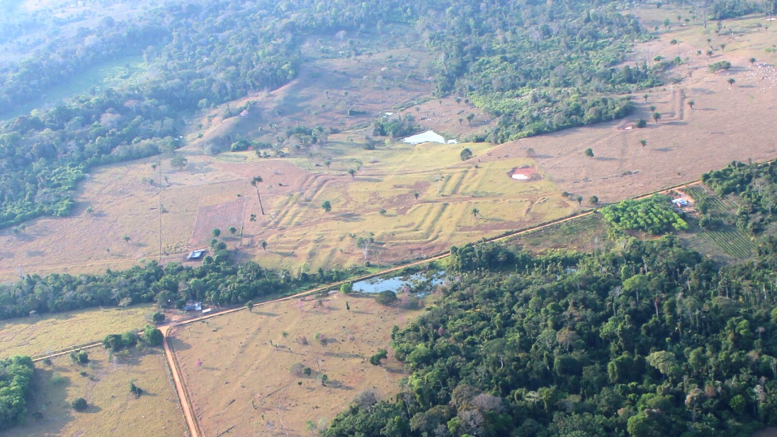 Arqueología: láseres revelan 396 geoglifos ocultos en la Amazonía