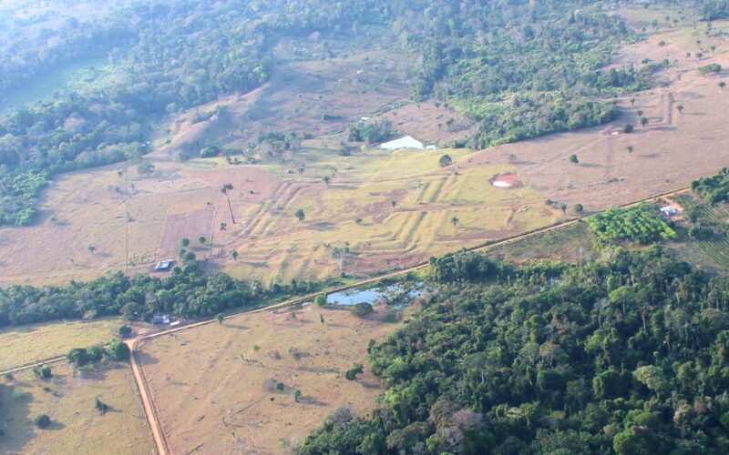 Arqueología: láseres revelan 396 geoglifos ocultos en la Amazonía