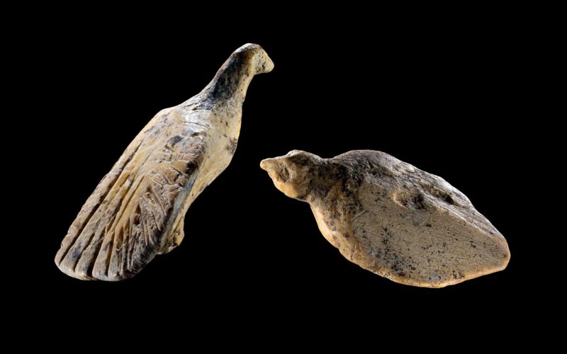 Paleontología: Dos aves de marfil caben en una uña