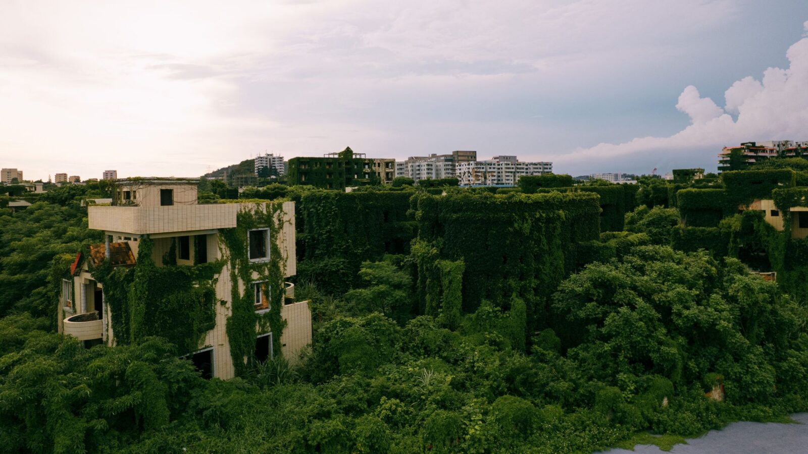 Ecología: ¿Puede el Antropoceno acelerar la evolución?