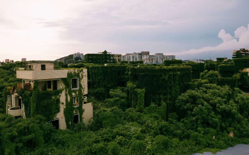 Ecología: ¿Puede el Antropoceno acelerar la evolución?