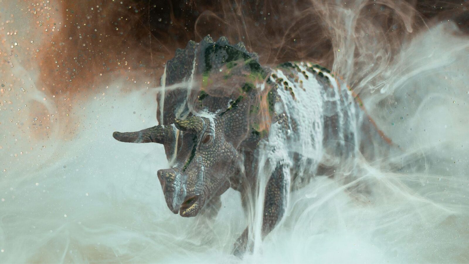 Paleontología: ¿Los hongos dieron ventaja a los mamíferos?