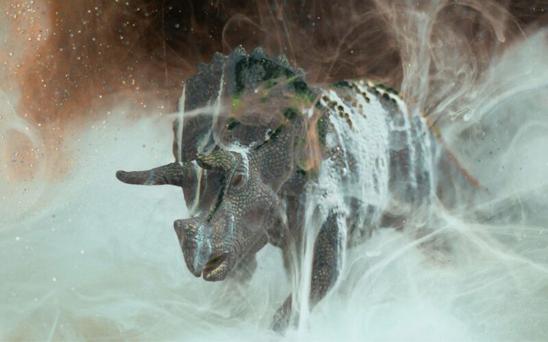 Paleontología: ¿Los hongos dieron ventaja a los mamíferos?