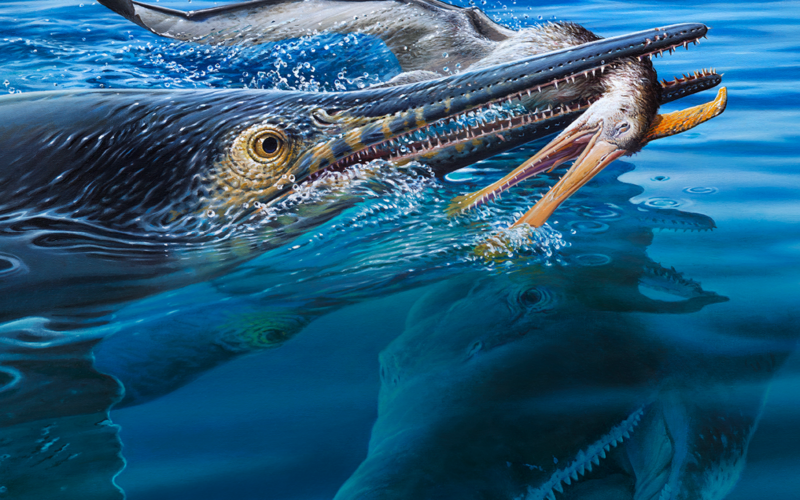 Paleo: Un ictiosaurio que comió un pterosaurio