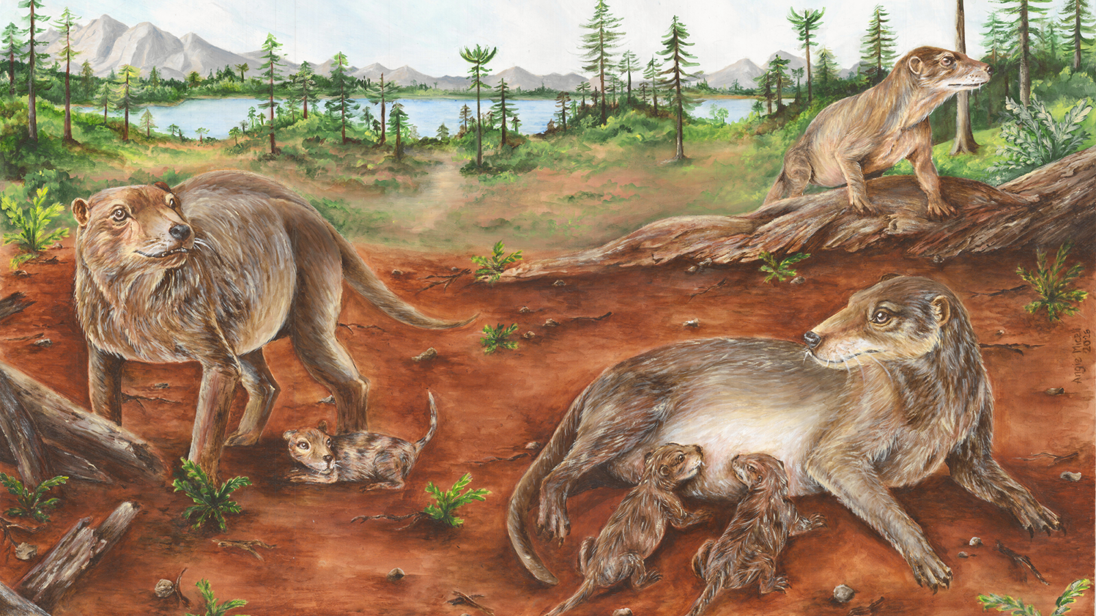 Paleontología: ¿Partos vivos antes de los mamíferos?