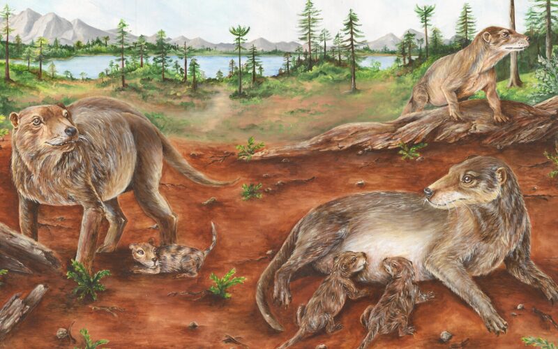 Paleontología: ¿Partos vivos antes de los mamíferos?