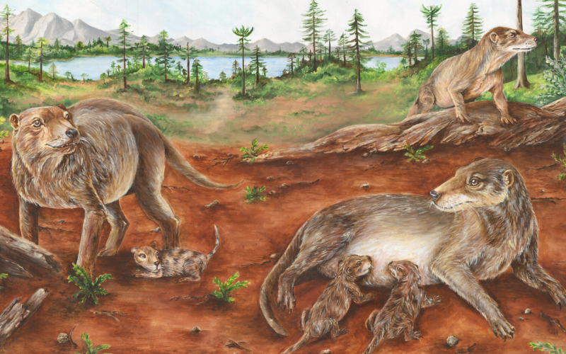 Paleontología: ¿Partos vivos antes de los mamíferos?