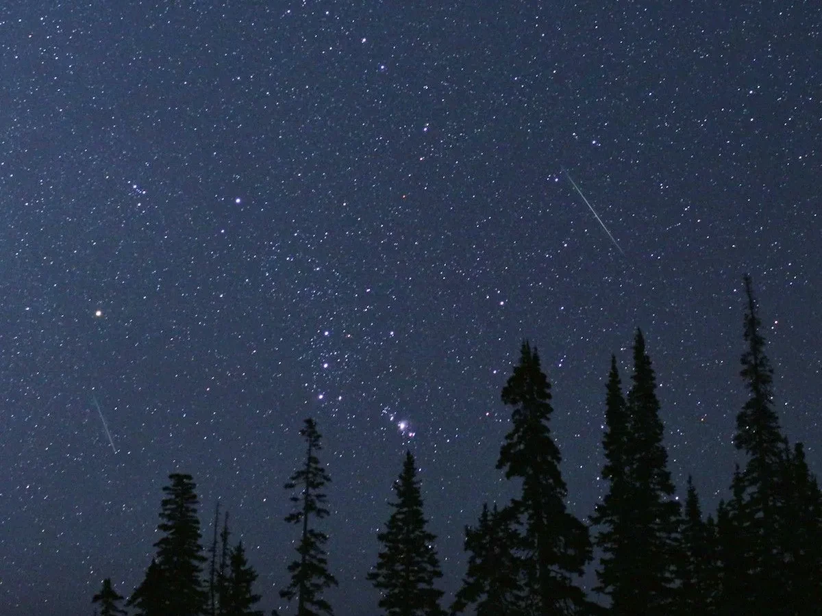 Astronomía: Las Perseidas alcanzan su pico anual