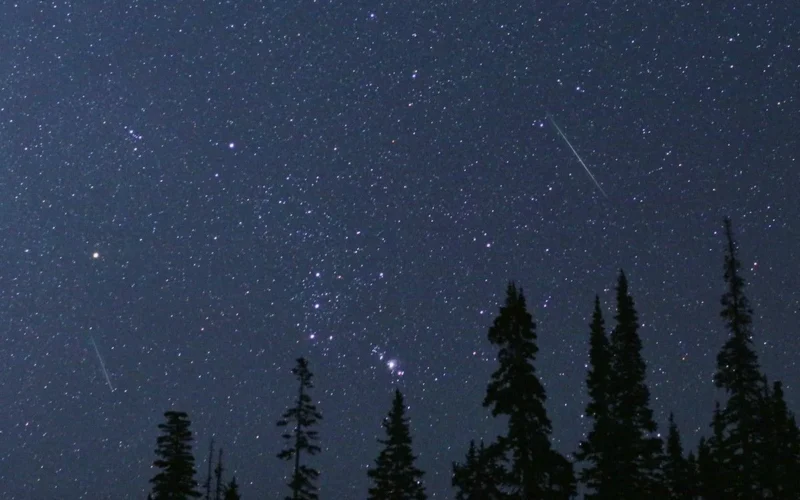 Astronomía: Las Perseidas alcanzan su pico anual