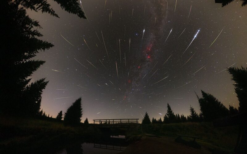 Astronomía: Las Perseidas brillaron bajo un cielo sin Luna