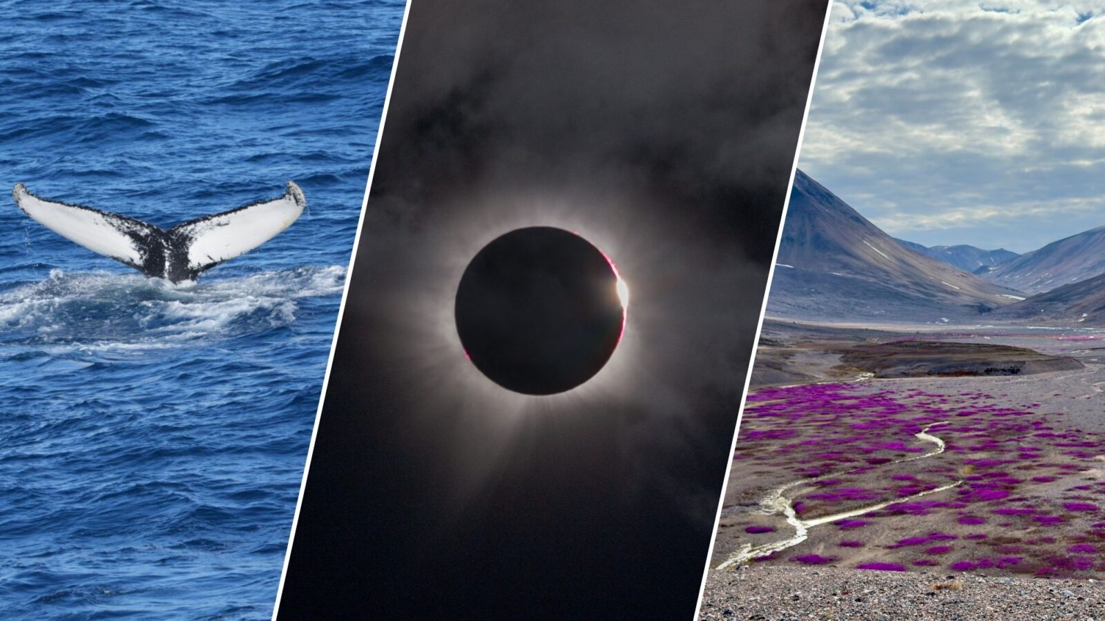 Espacio: Un eclipse total sobre Groenlandia