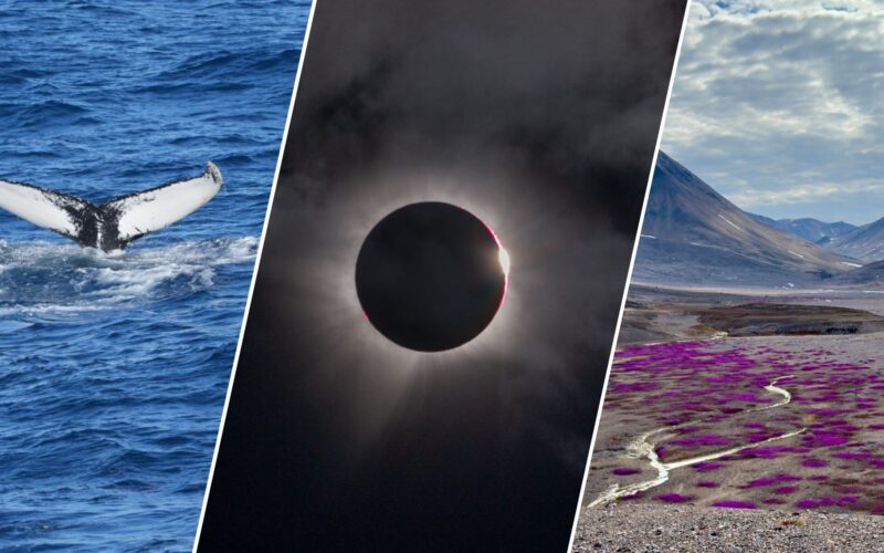 Espacio: Un eclipse total sobre Groenlandia