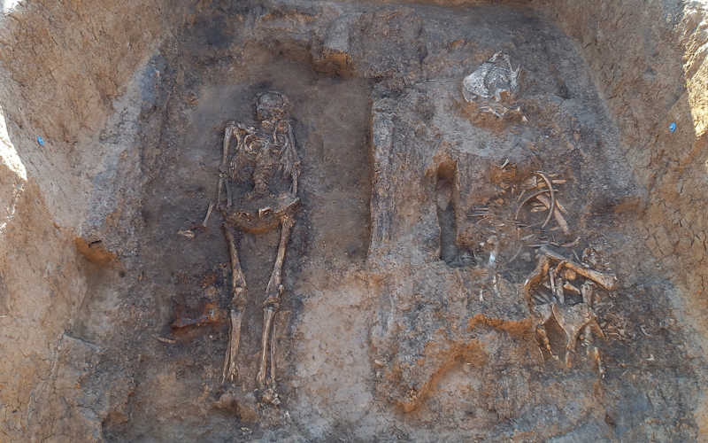 Arqueología: Una tumba de madera con caballo y perro