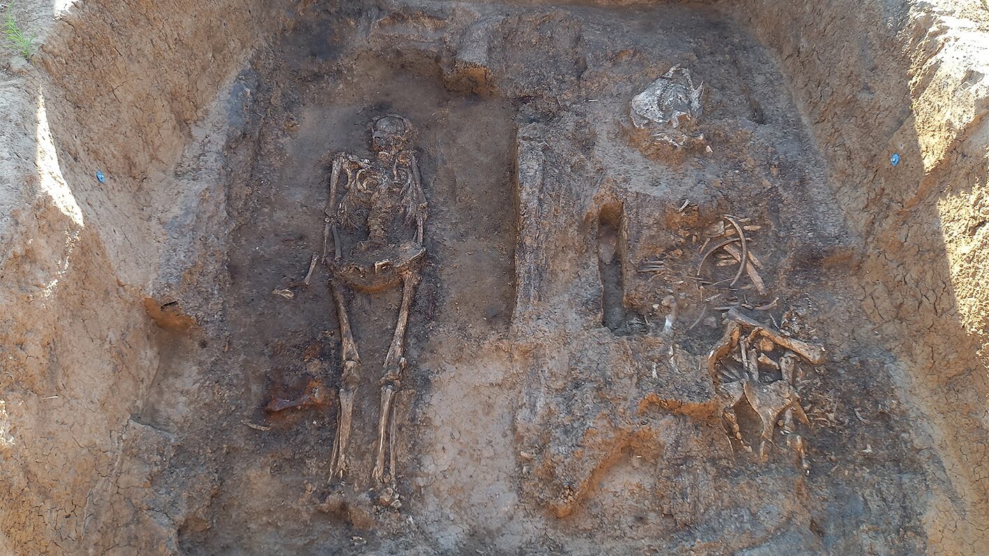 Arqueología: Una tumba de madera con caballo y perro