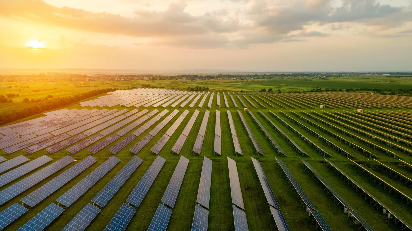 Energía: Tomates y paneles solares comparten terreno