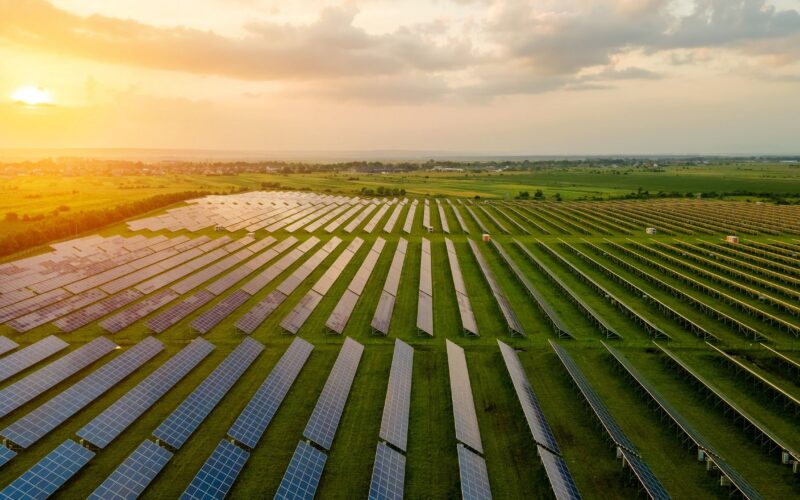 Energía: Tomates y paneles solares comparten terreno