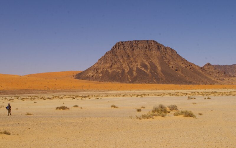 Arqueología: Neandertales en el desierto saudí