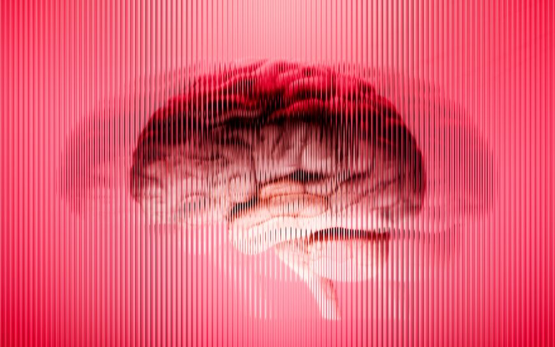 Neuro: Los organoides pierden el ritmo