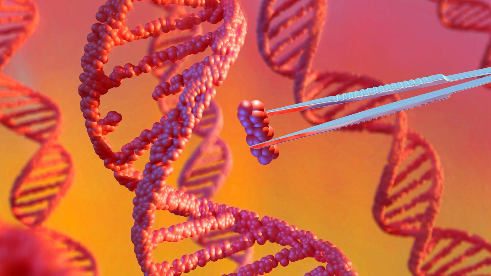 Salud: Muere una niña tras terapia génica experimental