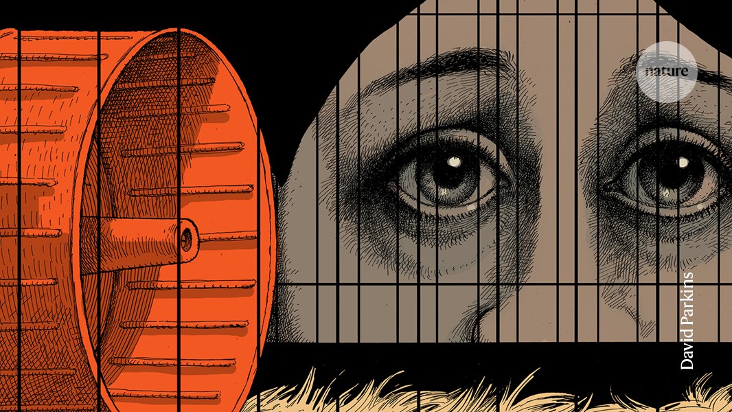 Salud mental: El costo emocional de investigar con animales
