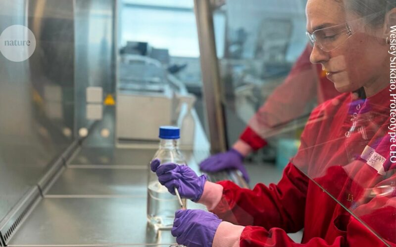 Tecnología: Fundadoras STEM ante la brecha de capital