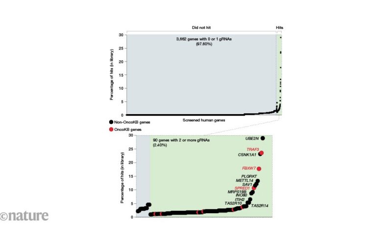Genética: genes impulsores en cromosomas inestables