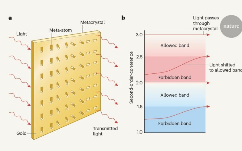 Física: Un filtro separa luz por estadística cuántica