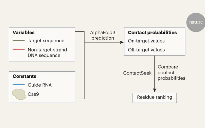 Genética: IA afina editores de bases CRISPR