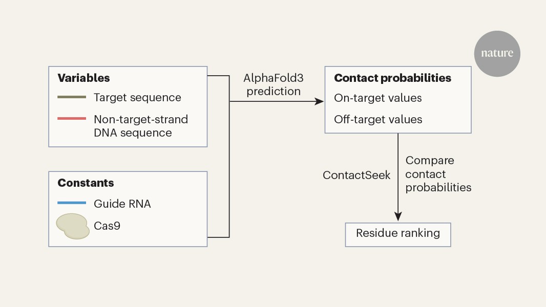 Genética: IA afina editores de bases CRISPR