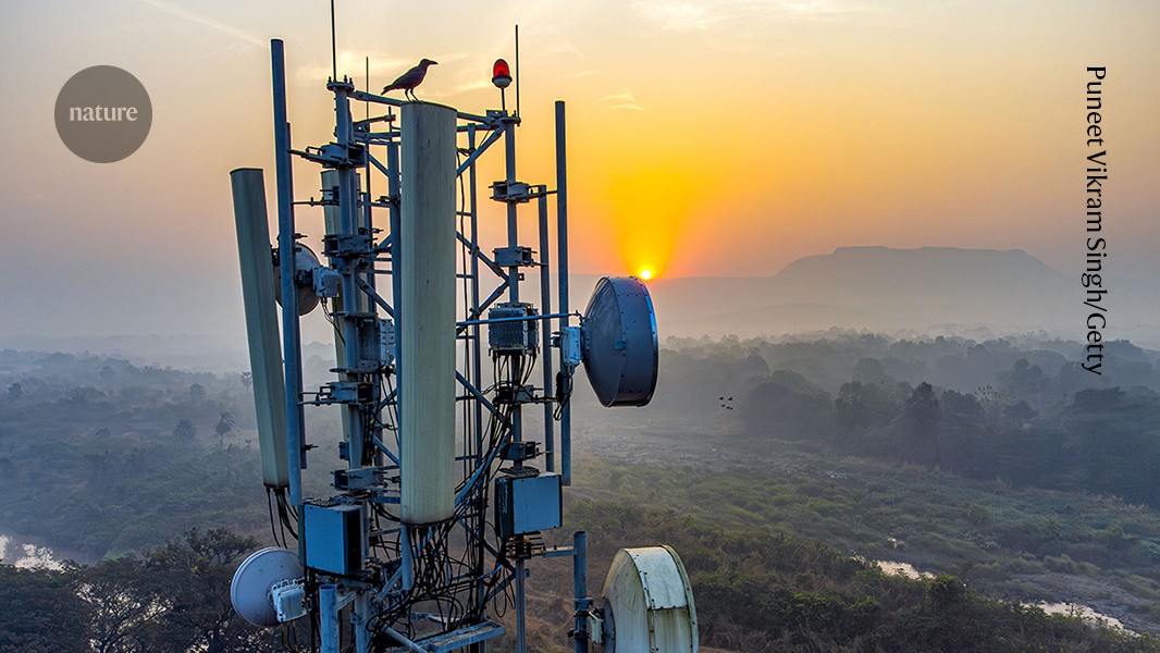 Tecnología: ARIA apuesta por riesgo y relevo