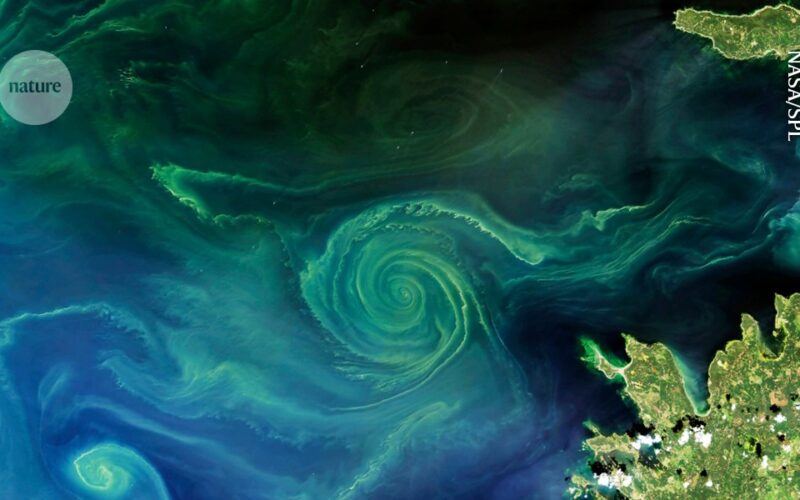 Clima: ¿Sembrar hierro en el mar para atrapar carbono?