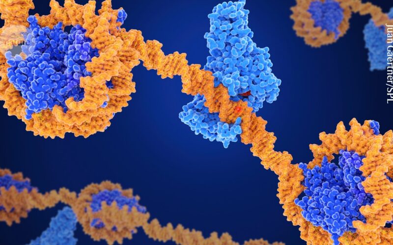 Genética: Editar el epigenoma ya llega a ensayos tempranos