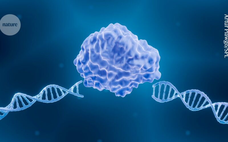 Genética: IA diseña nuevas tijeras CRISPR