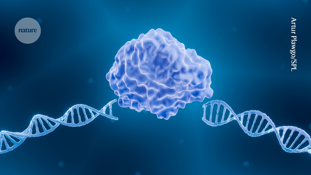 Genética: IA diseña nuevas tijeras CRISPR