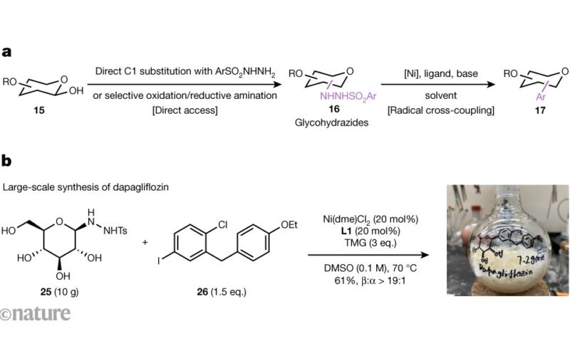 Química: fabricar C-glicósidos desde azúcar