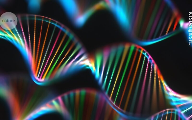 Genética: Un CRISPR que destruye ADN tumoral