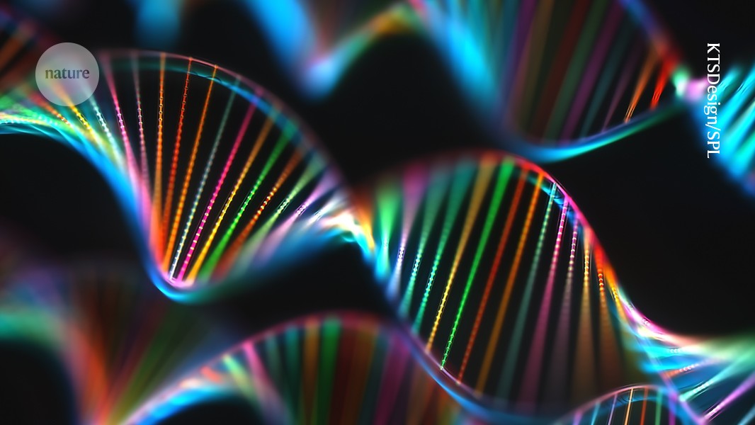 Genética: Un CRISPR que destruye ADN tumoral